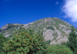 chambres d'htes la bigue Gerbier de Jonc ardche mezenc