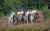 chambres d'htes la bigue Gerbier de Jonc ardche cheval ane